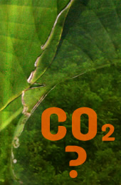 CO2