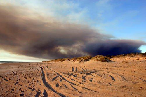 Buschfeuer in Australien