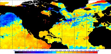 Anomalien der Meeresoberflächentemperaturen am 01.10.2009