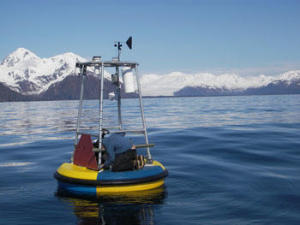 Boje in der Resurrection Bay, Alaska