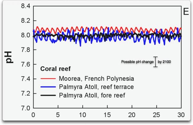pH-Werte in Korallenriffen