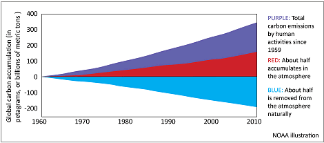 CO2-Emission und -Absorption 1960-2010